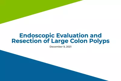 Endoscopic Evaluation and Resection of Large Colon Polyps