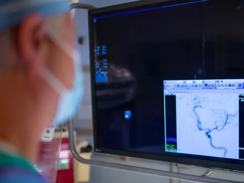 Neuro-Lefler-Image