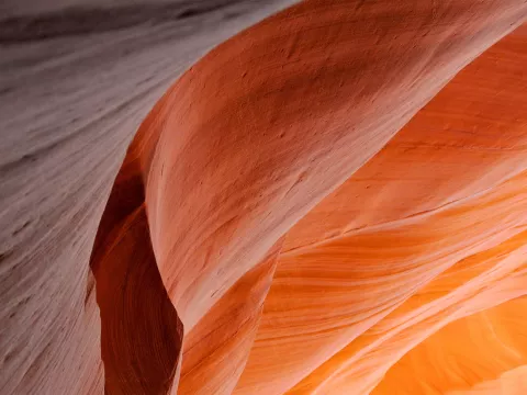 Canyon floor banne image
