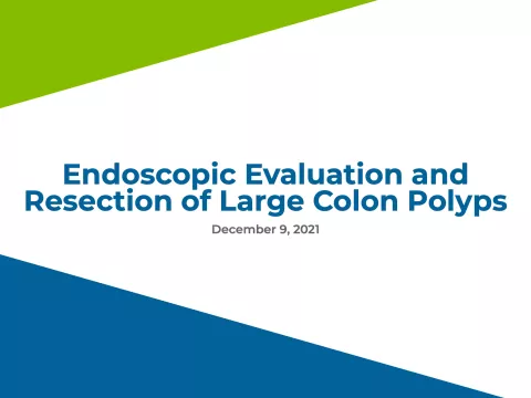 Endoscopic Evaluation and Resection of Large Colon Polyps